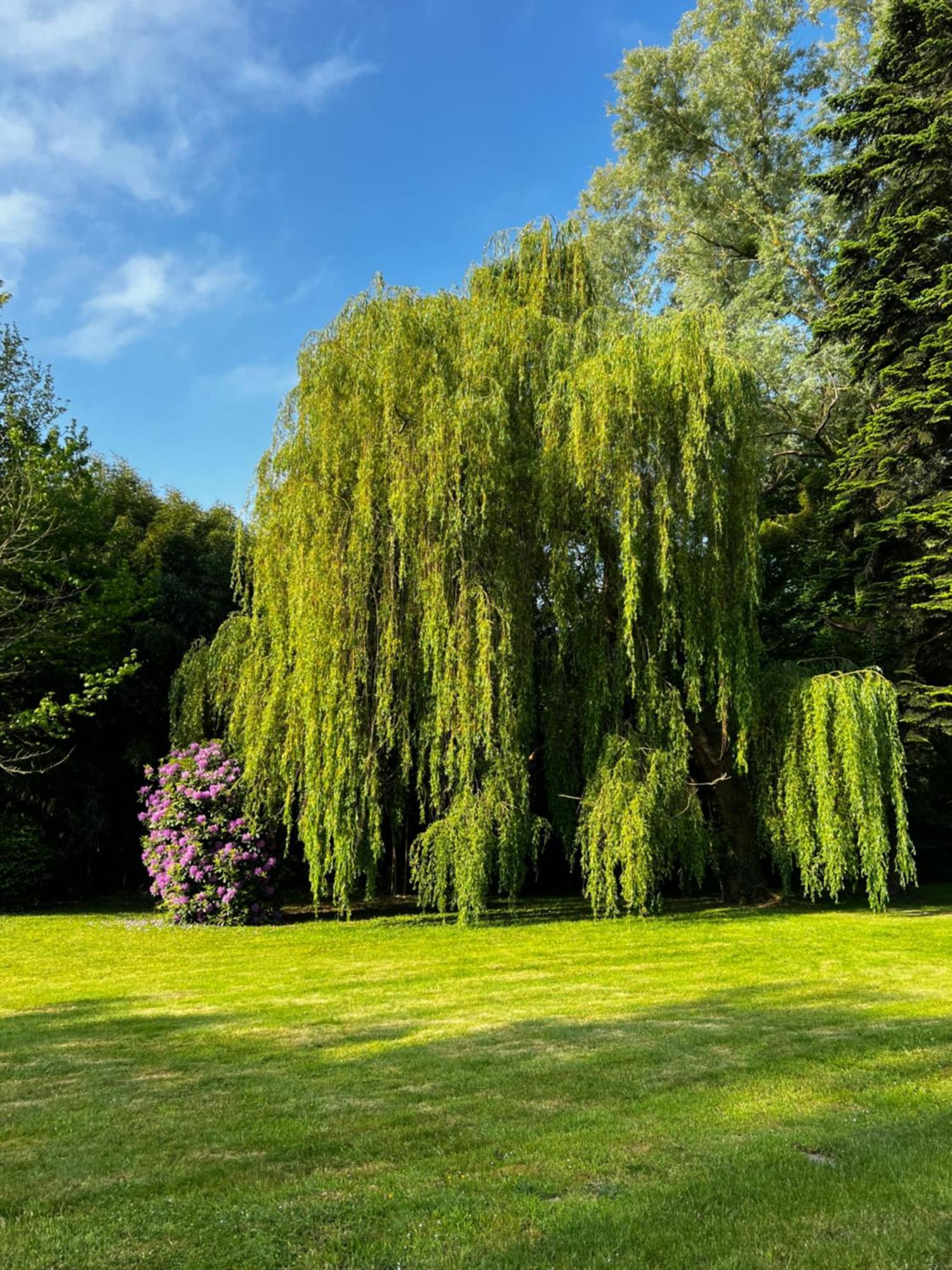 Le Clos De Lily Coudray-Rabut Exterior photo
